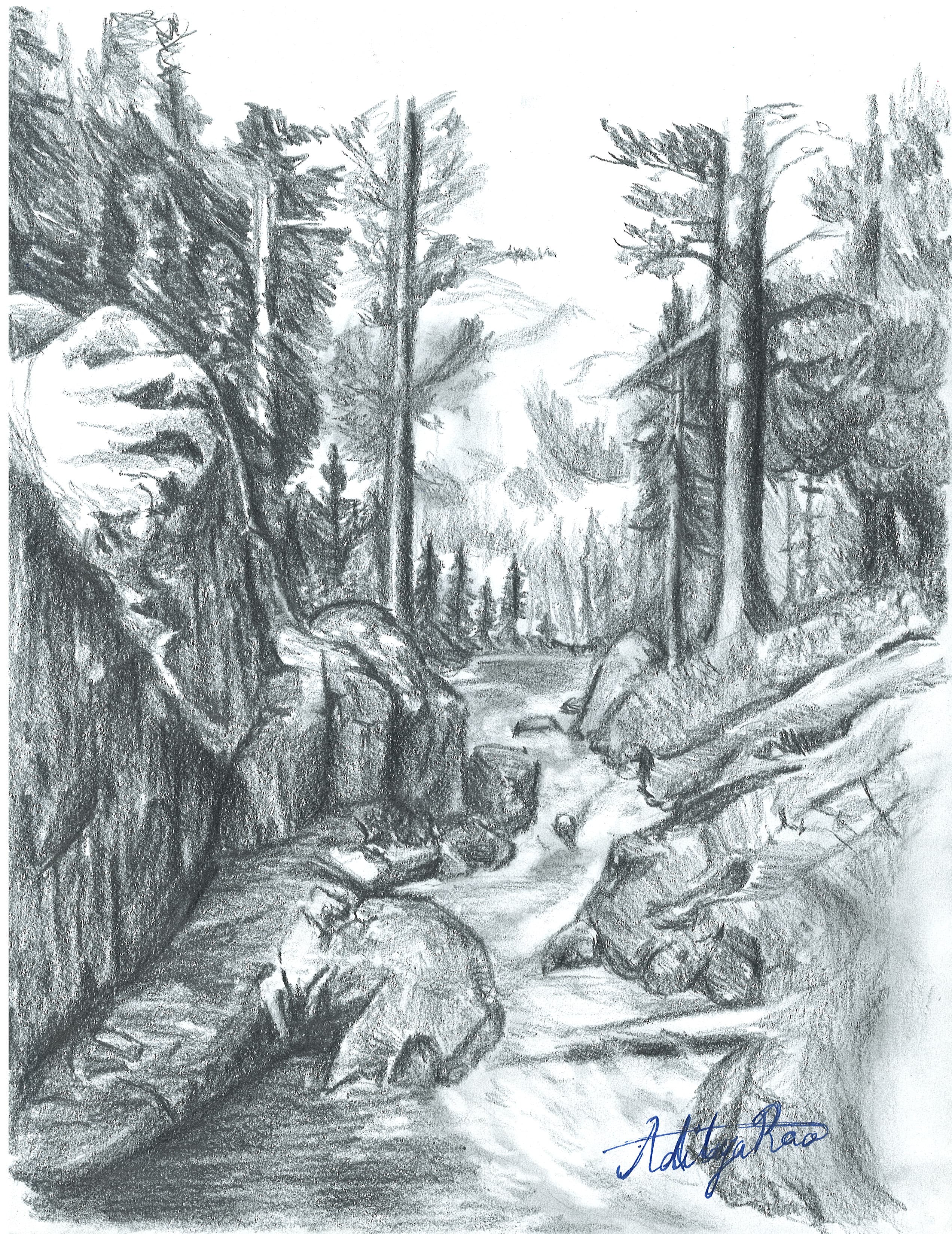 Thumbnail 28