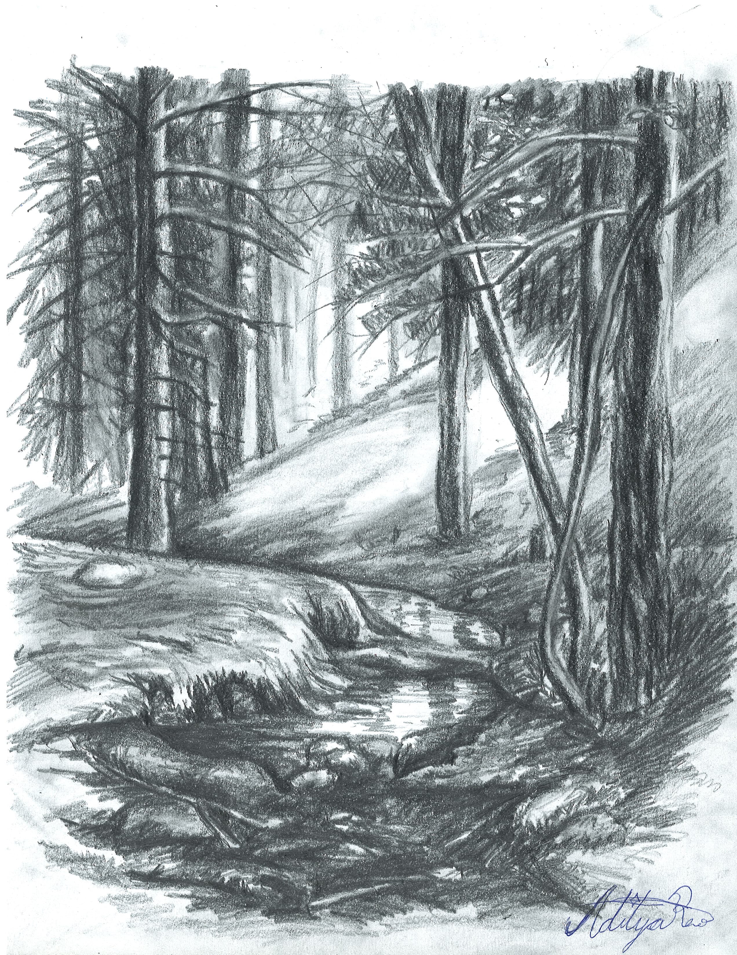 Thumbnail 36